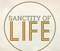 Every Day Sanctity of Life Theology